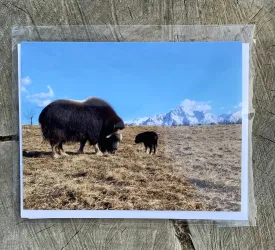 Acadia and Bumblebee Card