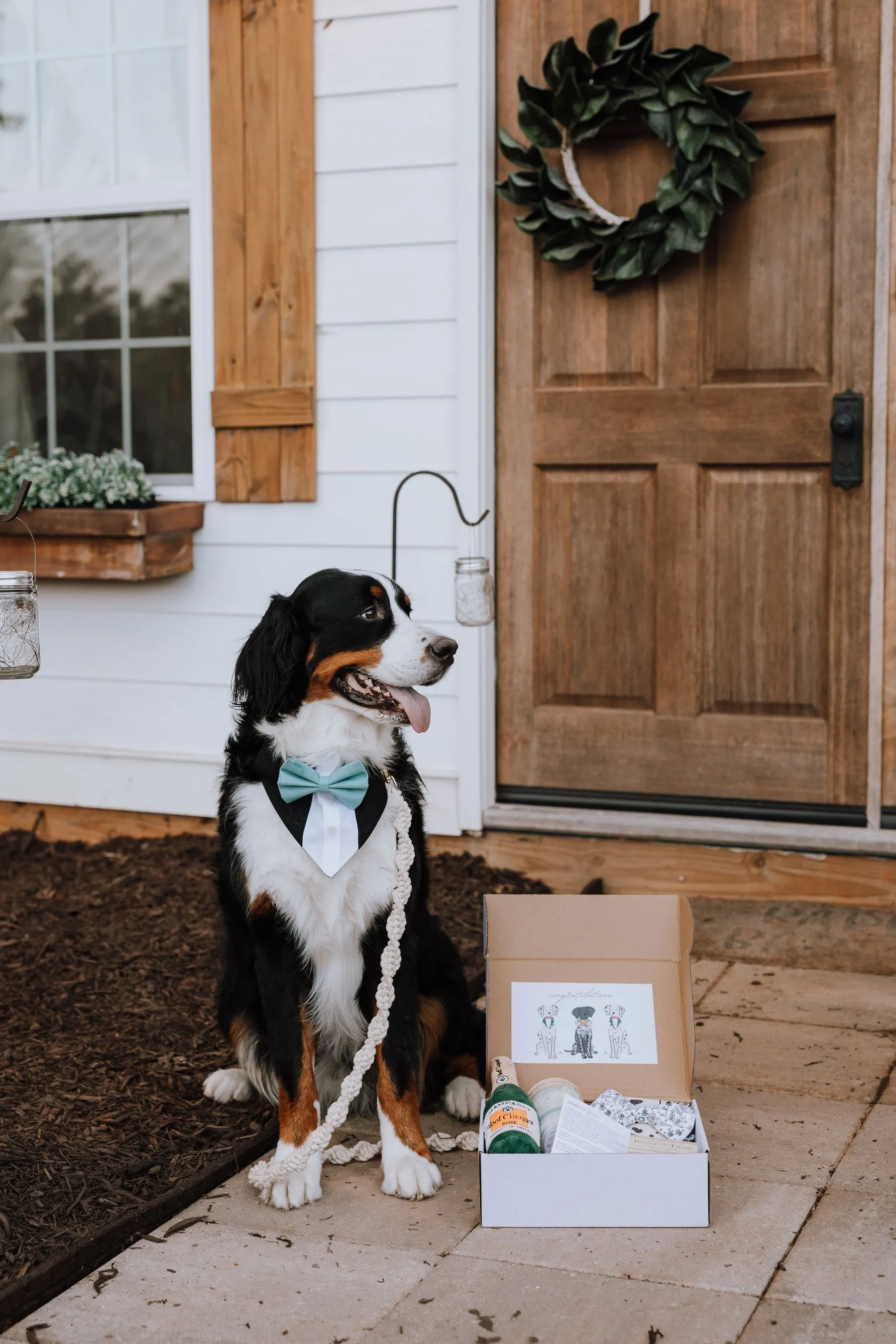 The Wedding Pawty Box