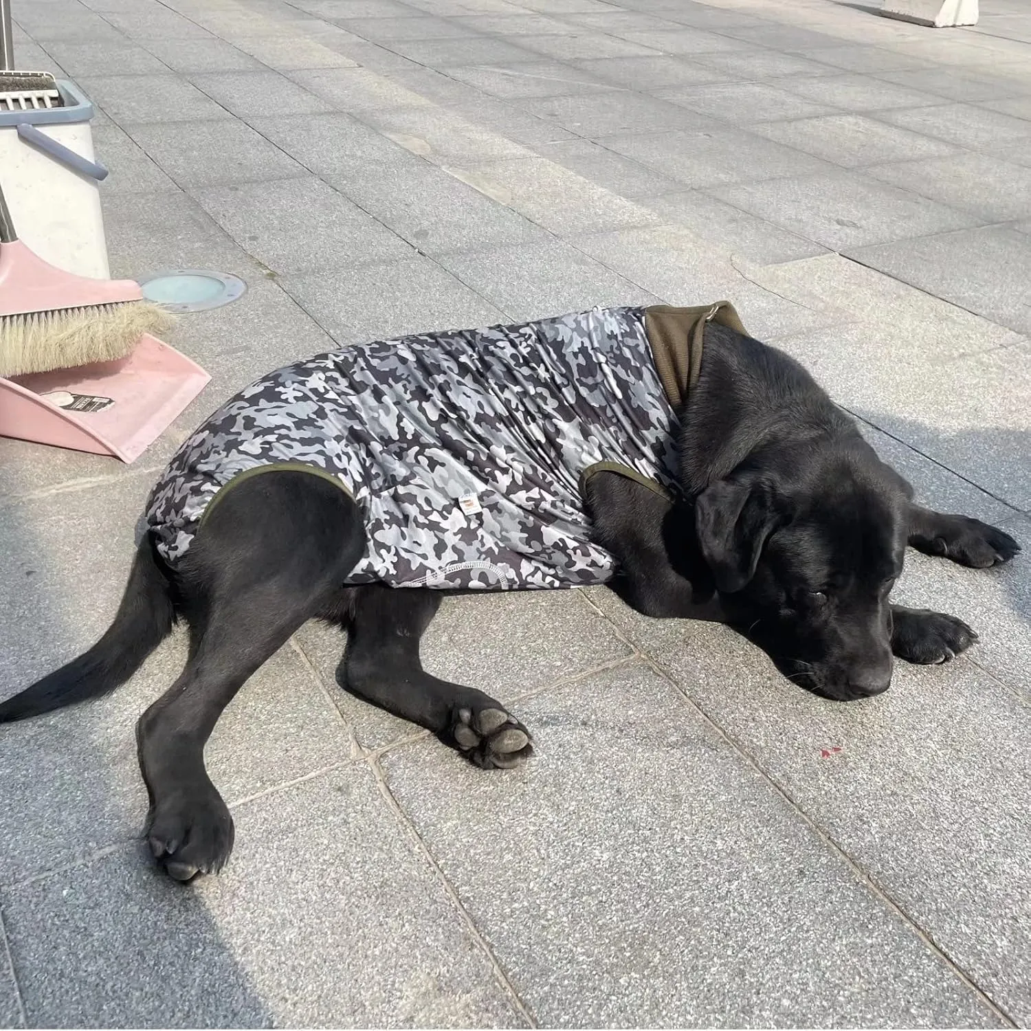 Xqpetlihai Dog Surgery Recovery Suit for Medium Large Dog Pajamas for Abdominal Wounds or Skin Diseases Dog Onesie Prevent Licking After Surgery Wear(XXL,C2)